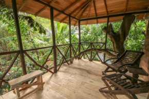 Green Park Safari House & Eco Tree House